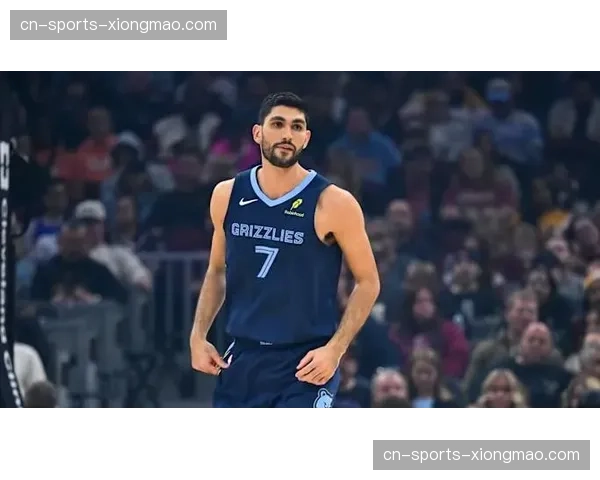 阿尔达马赛季报销已成定局 灰熊锋线运动能力大幅减弱