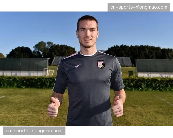 河南队防线配置顶配效果保级,迈达纳马亚组合未达预期